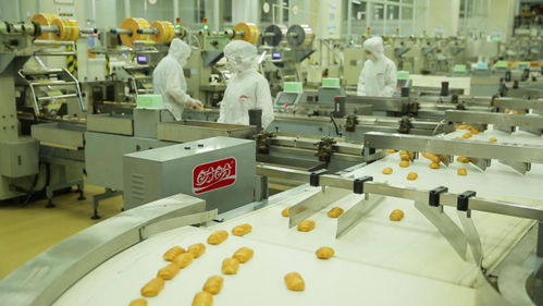 為巴黎奧運(yùn)會(huì)喝彩——盼盼之家巴黎體驗(yàn)店開(kāi)幕與麥秸畫(huà)藝術(shù)盛宴